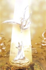 BUY NEW kamimaze kaitou jeanne - 43670 Premium Anime Print Poster