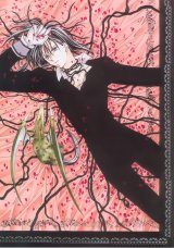 BUY NEW kamimaze kaitou jeanne - 49022 Premium Anime Print Poster