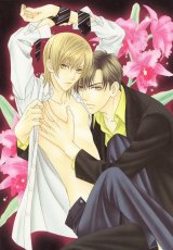 BUY NEW kaname itsuki - 172742 Premium Anime Print Poster