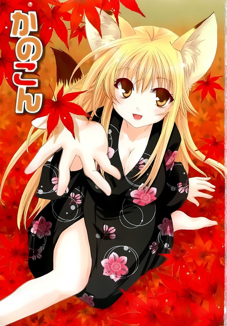BUY NEW kanokon - 173331 Premium Anime Print Poster kanokon - 173331 image