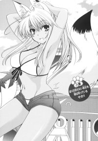 BUY NEW kanokon - 176121 Premium Anime Print Poster