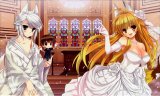 BUY NEW kanokon - 188918 Premium Anime Print Poster