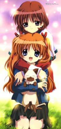 BUY NEW kanon - 110502 Premium Anime Print Poster