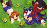 BUY NEW kanon - 136830 Premium Anime Print Poster