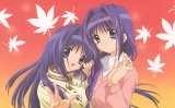 BUY NEW kanon - 143773 Premium Anime Print Poster