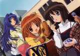 BUY NEW kanon - 156025 Premium Anime Print Poster
