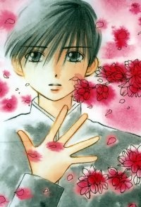 BUY NEW kareshi kanojo no jijou - 6008 Premium Anime Print Poster