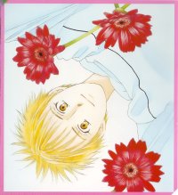 BUY NEW kareshi kanojo no jijou - 67580 Premium Anime Print Poster