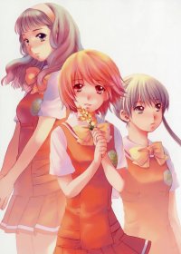BUY NEW kashimashi girl meets girl - 106170 Premium Anime Print Poster