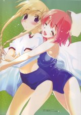 BUY NEW kashimashi girl meets girl - 185684 Premium Anime Print Poster