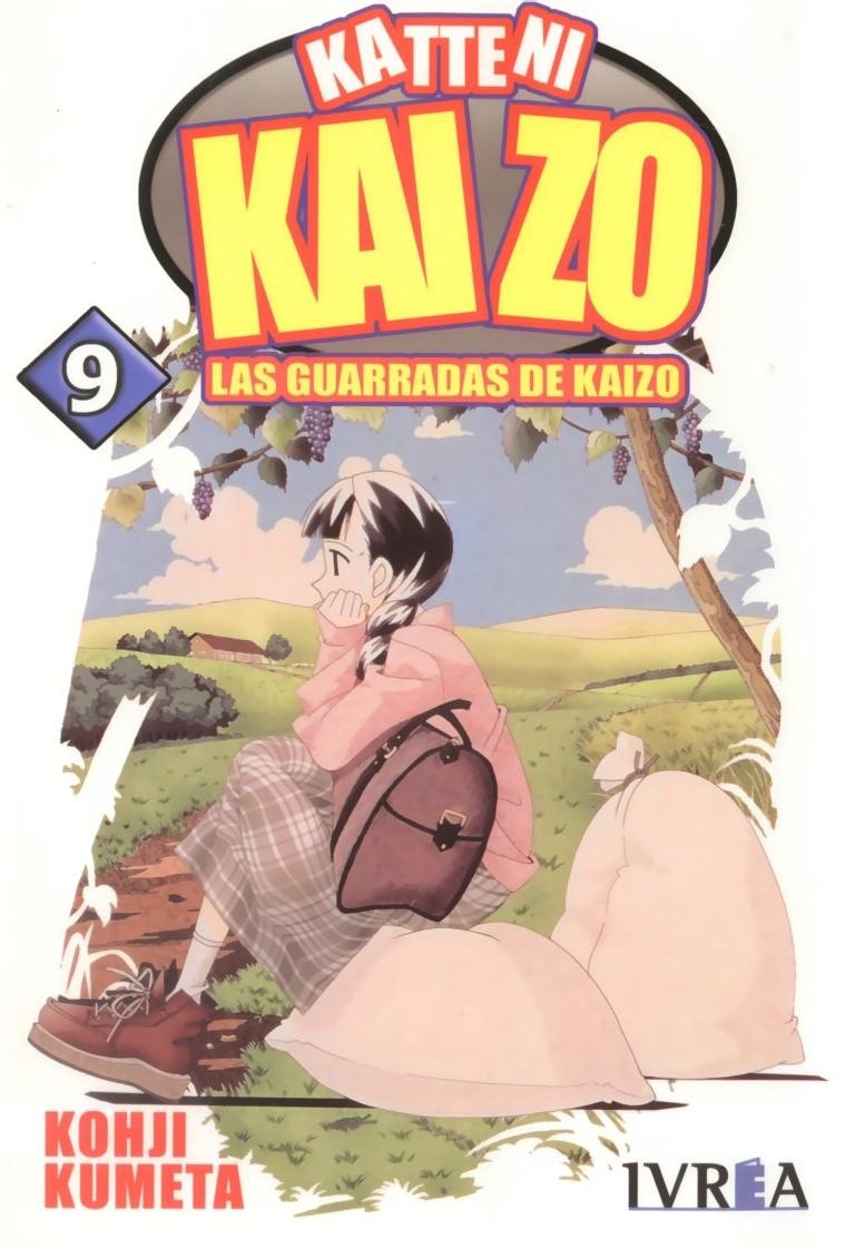 BUY NEW katteni kaizo - 171440 Premium Anime Print Poster katteni kaizo - 171440 image