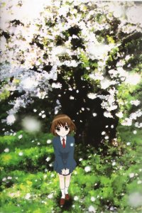 BUY NEW kazuko tadano - 33669 Premium Anime Print Poster