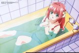 BUY NEW kimi ga nozomu eien - 159792 Premium Anime Print Poster