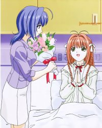 BUY NEW kimi ga nozomu eien - 243 Premium Anime Print Poster
