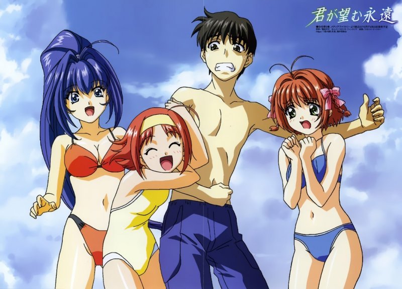 Buy Kimi Ga Nozomu Eien 5291 Animeprintz Com Buy Kimi Ga Nozomu Eien 5291 Animeprintz Com