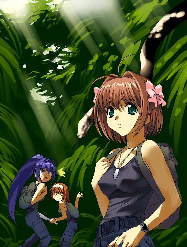 BUY NEW kimi ga nozomu eien - 64630 Premium Anime Print Poster kimi ga nozomu eien - 64630 image