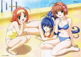 BUY NEW kimi ga nozomu eien - 651 Premium Anime Print Poster