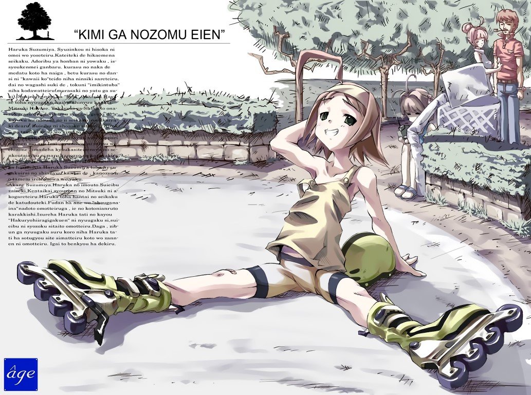 BUY NEW kimi ga nozomu eien - 86030 Premium Anime Print Poster kimi ga nozomu eien - 86030 image