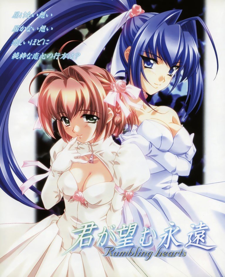 BUY NEW kimi ga nozomu eien - 97996 Premium Anime Print Poster kimi ga nozomu eien - 97996 image