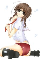 BUY NEW kimikiss - 143126 Premium Anime Print Poster