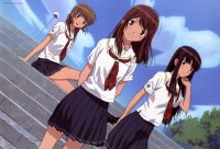 BUY NEW kimikiss - 147460 Premium Anime Print Poster