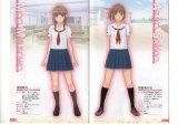 BUY NEW kimikiss - 160862 Premium Anime Print Poster