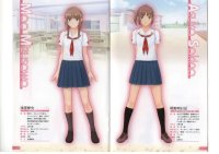 BUY NEW kimikiss - 160862 Premium Anime Print Poster
