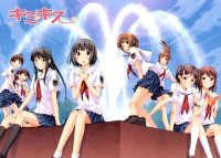 BUY NEW kimikiss - 175342 Premium Anime Print Poster