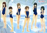 BUY NEW kimikiss - 67158 Premium Anime Print Poster
