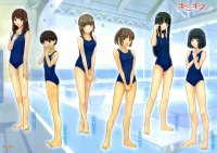 BUY NEW kimikiss - 67158 Premium Anime Print Poster