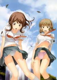 BUY NEW kimikiss - 87711 Premium Anime Print Poster