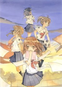 BUY NEW kimikiss - 94749 Premium Anime Print Poster