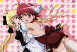 BUY NEW koharu biyori - 146059 Premium Anime Print Poster