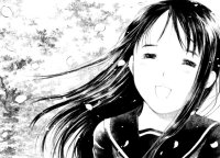 BUY NEW koi kaze - 150287 Premium Anime Print Poster