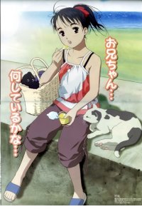 BUY NEW koi kaze - 50016 Premium Anime Print Poster