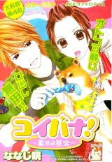 BUY NEW koibana! koiseyo hanabi - 155241 Premium Anime Print Poster
