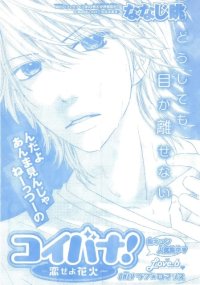 BUY NEW koibana! koiseyo hanabi - 156503 Premium Anime Print Poster