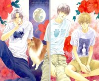 BUY NEW komatta toki ni wa hoshi ni kike - 30528 Premium Anime Print Poster