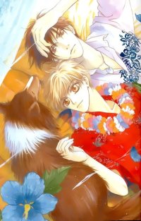 BUY NEW komatta toki ni wa hoshi ni kike - 30535 Premium Anime Print Poster