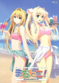 BUY NEW kono aozora ni yakusoku wo - 112814 Premium Anime Print Poster