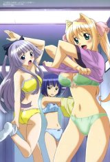 BUY NEW kono aozora ni yakusoku wo - 128428 Premium Anime Print Poster