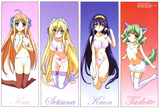 BUY NEW kyoshiro to towa no sora - 112301 Premium Anime Print Poster kyoshiro to towa no sora - 112301 image