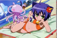 BUY NEW kyouran kazoku nikki - 180931 Premium Anime Print Poster
