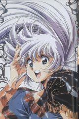 BUY NEW legend of lemnear - 74441 Premium Anime Print Poster