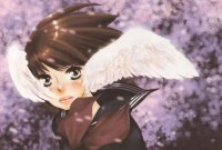 BUY NEW lily hoshino - 168494 Premium Anime Print Poster