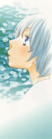BUY NEW lily hoshino - 169047 Premium Anime Print Poster