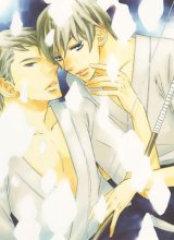 BUY NEW lily hoshino - 172891 Premium Anime Print Poster