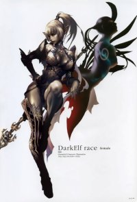 BUY NEW lineage ii - 55348 Premium Anime Print Poster