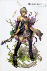 BUY NEW lineage ii - 55349 Premium Anime Print Poster