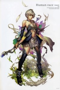 BUY NEW lineage ii - 55349 Premium Anime Print Poster